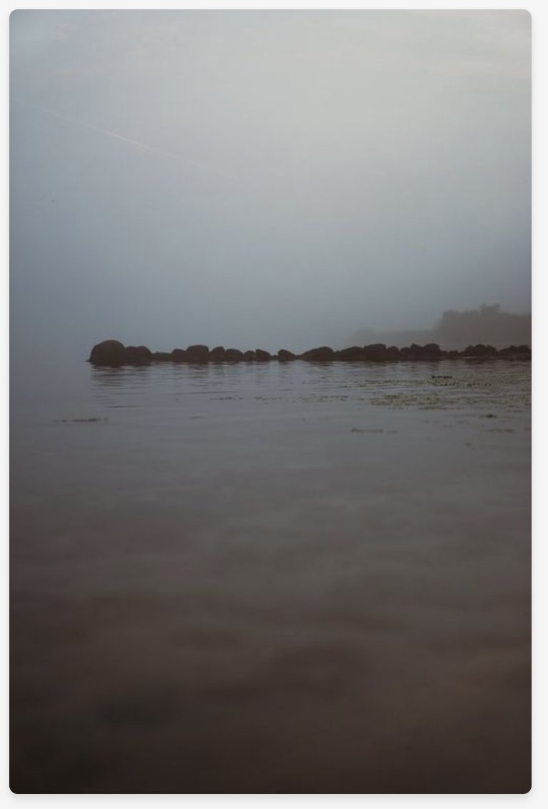 LA PIPA ⚡️ FESTIVAL ⚡️ SPRING 2024 tweet media