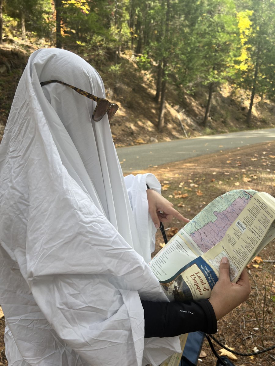 Umpqua National Forest tweet media