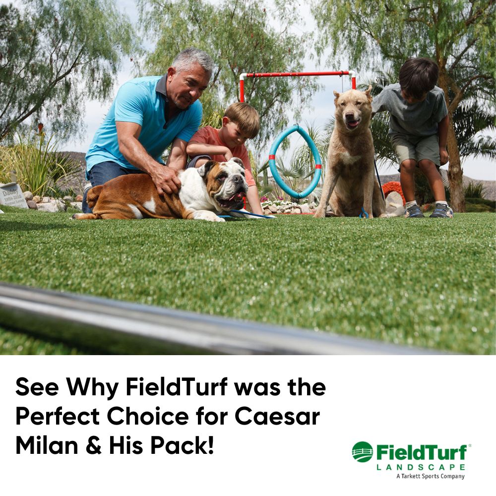 FT_Landscape's tweet photo. Our artificial grass isn't just for humans to enjoy, it's canine-approved too! Check out these images from our installation for the Dog Whisperer himself, Cesar Milan. πΆπ‘ #FieldTurfLandscape
Treat your best bud to their own backyard park! https://t.co/u0VpUgbGQs https://t.co/X6L2n2g0Xs
