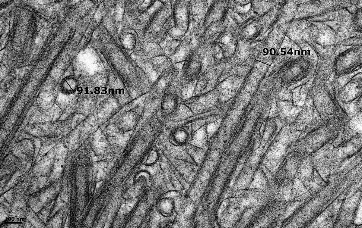 John Brealey tweet media