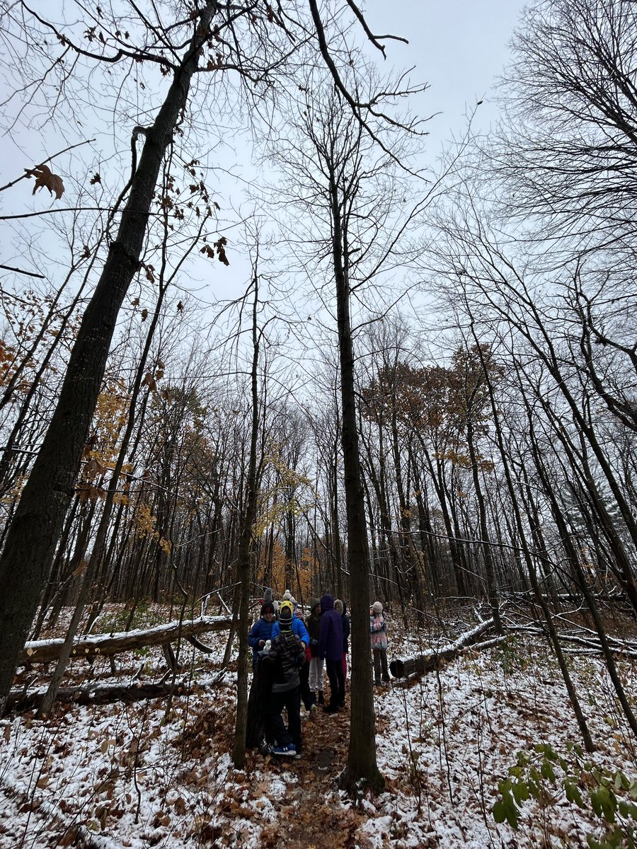 Great way to start our morning is with a walk in the forest with 6A!