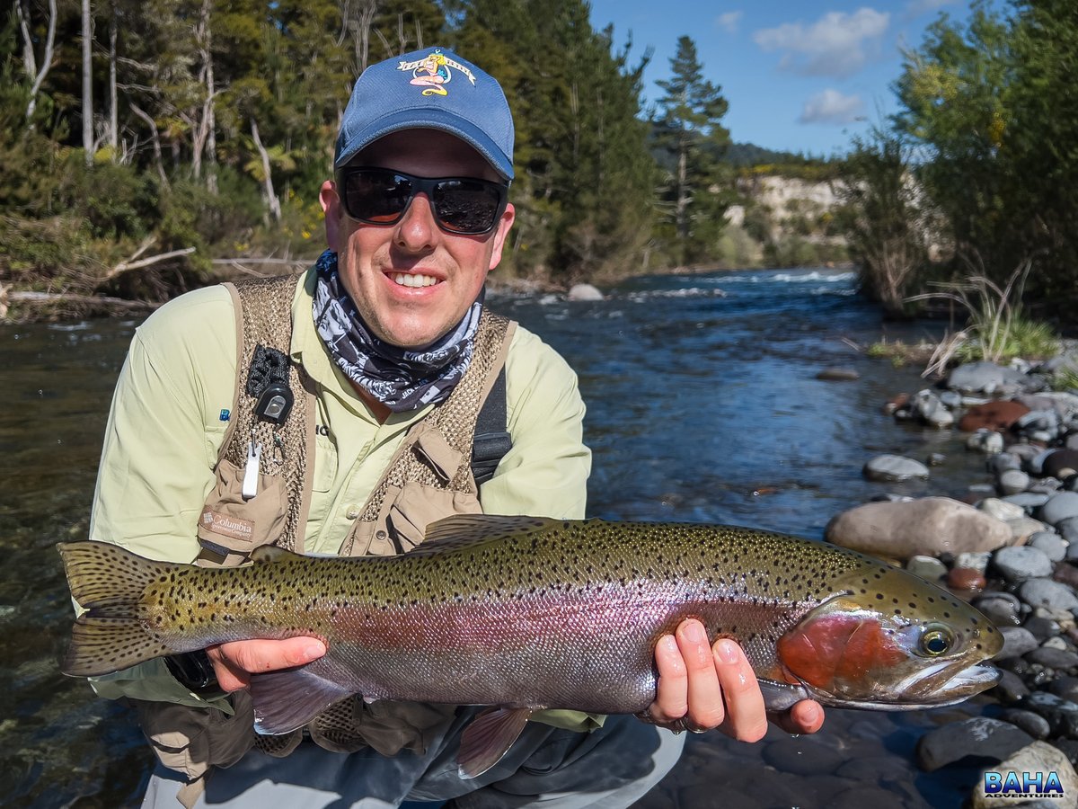 BahaAdventures's tweet photo. Warren's first New Zealand trout! And what a beaut of a fish to get onto the board with. He sight fished to it in crystal clear, skinny water on the Tongariro River. It took a size 16 nymph, suspended under a dry. BOOM! #flyfishing #itonlycountsonfly #newzealand #troutporn https://t.co/3P67KbzRZN