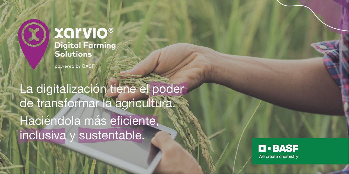Trabajamos con los agricultores para encontrar el equilibrio ideal entre innovación, productos digitales y soluciones prácticas, creando valor para nuestros clientes y el futuro de la agricultura.

👉 surl.li/hwmne

#PortafolioBASF
#DigitalizaciónBASF
<a href="/xarvioAR/">xarvio Argentina</a>