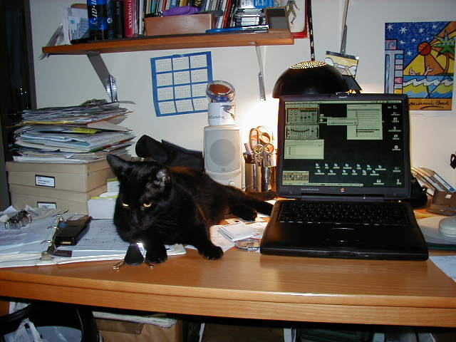 glen_dasilva's tweet image. THE BLACKBOOK!! baby&apos;s back!! 🤤😭🥹 circa 1999 #NYC #PowerBookG3 #macbook #blackbook #MacOS9 #SpaceBlack #AppleEvent @tim_cook @MKBHD

@Apple brought back the best Mac colorway with the new M3 MacBook Pro tcrn.ch/45R92EA via @techcrunch