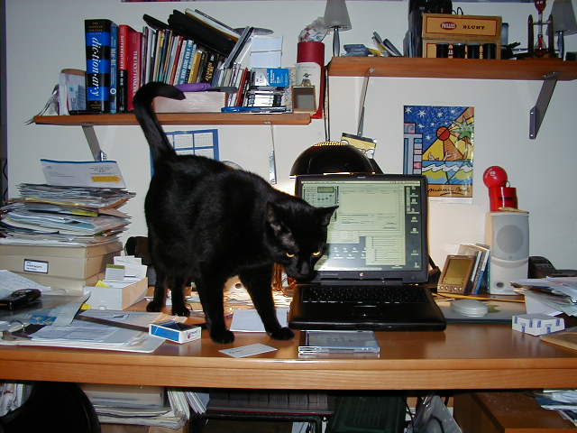 glen_dasilva's tweet image. THE BLACKBOOK!! baby&apos;s back!! 🤤😭🥹 circa 1999 #NYC #PowerBookG3 #macbook #blackbook #MacOS9 #SpaceBlack #AppleEvent @tim_cook @MKBHD

@Apple brought back the best Mac colorway with the new M3 MacBook Pro tcrn.ch/45R92EA via @techcrunch