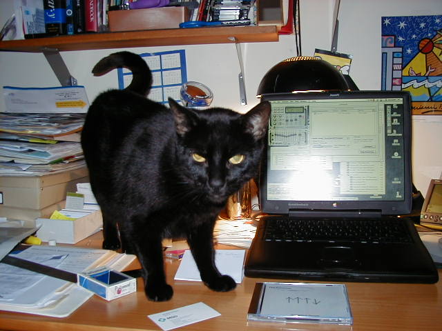 glen_dasilva's tweet image. THE BLACKBOOK!! baby&apos;s back!! 🤤😭🥹 circa 1999 #NYC #PowerBookG3 #macbook #blackbook #MacOS9 #SpaceBlack #AppleEvent @tim_cook @MKBHD

@Apple brought back the best Mac colorway with the new M3 MacBook Pro tcrn.ch/45R92EA via @techcrunch