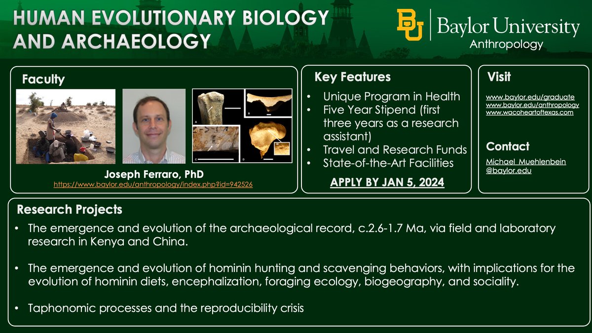 <a href="/BaylorAnthro/">Baylor Anthropology</a> PHD PROGRAM FACULTY SPOTLIGHT - Paleoanthropologist Prof. Joe Ferraro. The Ferraro Lab studies hominin foraging behavior, w/ implications for the evo of human diets, anatomy, biology &amp; sociality. Lab &amp; field opportunities in Kenya &amp; China. #PhD apps due January 5!