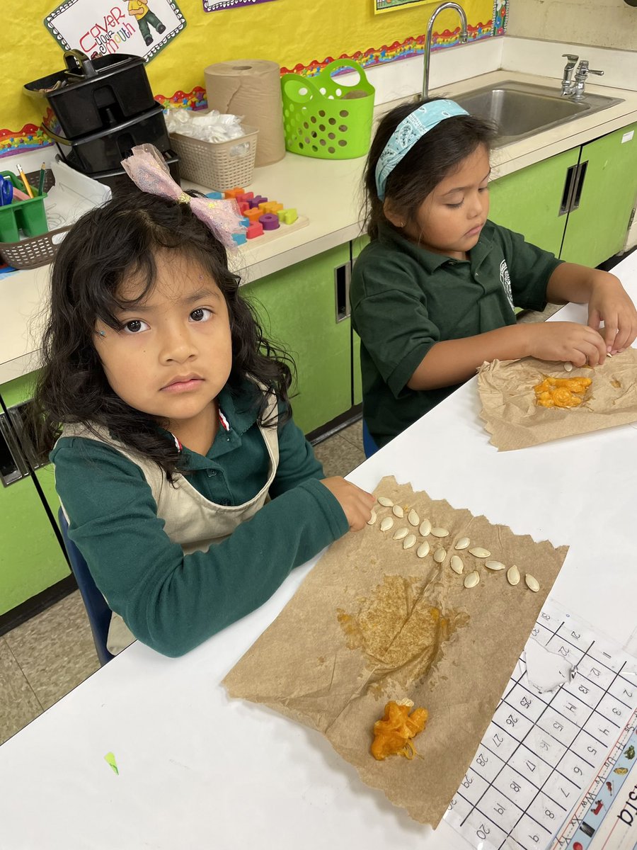 yoly_meneses's tweet photo. Pumpkin seeds &amp; Pumpkin guts 🎃, oh my 👻!  @morrisaveschool @JaniseStout  #TogetherWeCanLB https://t.co/zBRCzl7U8q