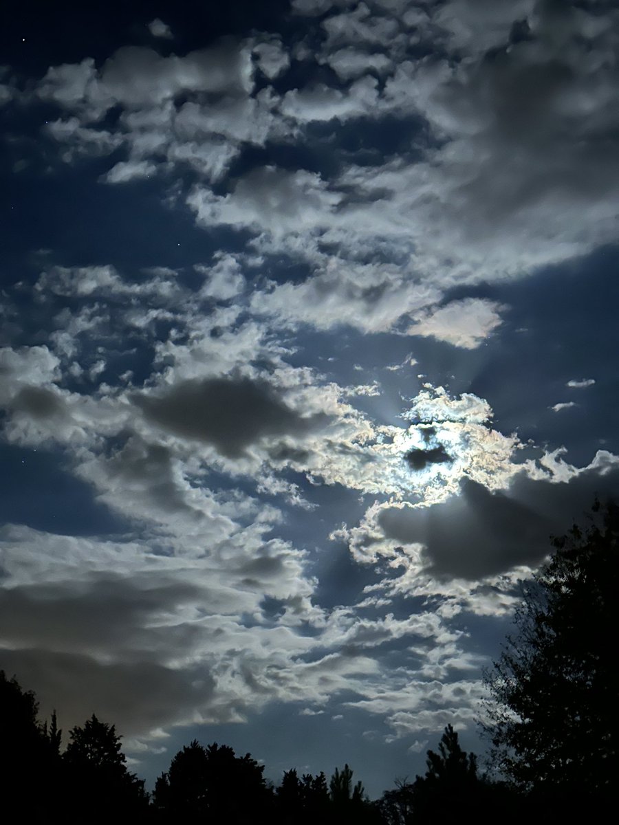 Trent Faris tweet media