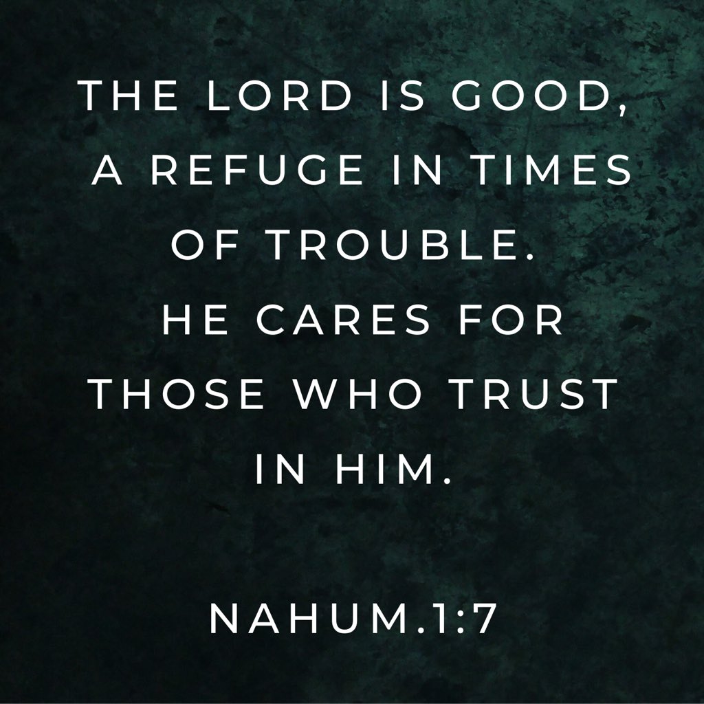 ChristCommittee's tweet image. The LORD is good, a refuge in times of trouble. He cares for those who trust in him.

(Nahum.1:7)