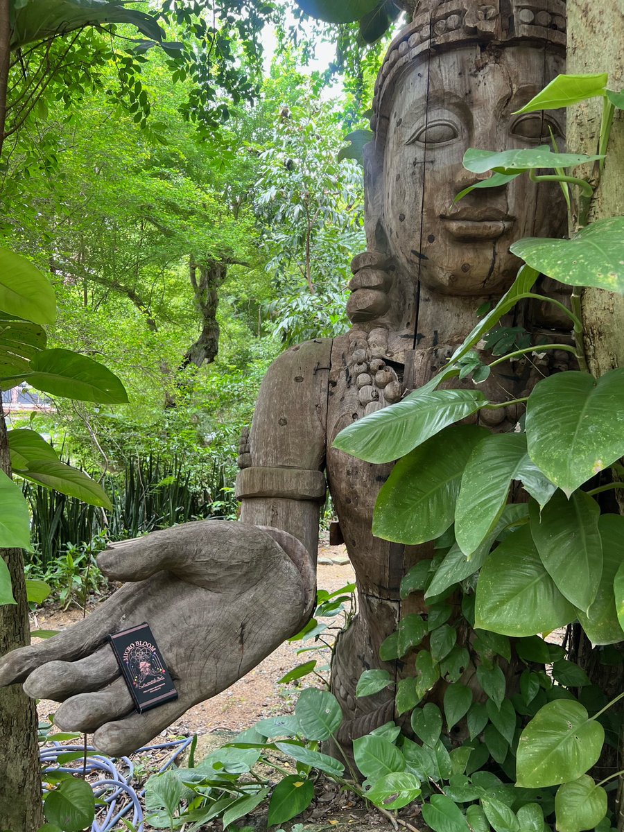 microbloomco's tweet image. natures offerings 🍄 
#Mushroom #psychedelic #microdose #macrodosw #shroom #chocolate

microbloom.co