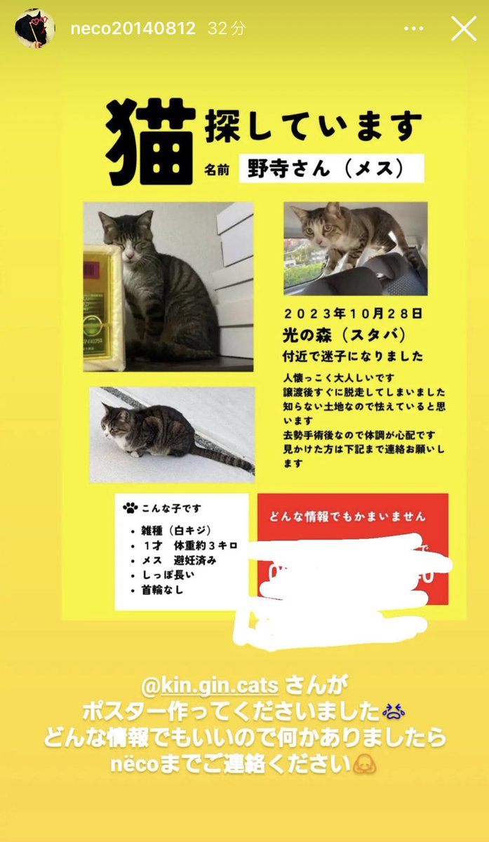 urara22487243's tweet photo. 光の森付近の方！情報お願いします🙇
しっぽが長い子いませんか？？
@SelectSHOPnco1 
↑小さなことでもご連絡ください！！！！ https://t.co/OZL9m0BeG3