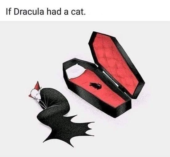 richwriter's tweet photo. Me. #Halloween #BlackCat #Dracula https://t.co/EW9zQkEqYk