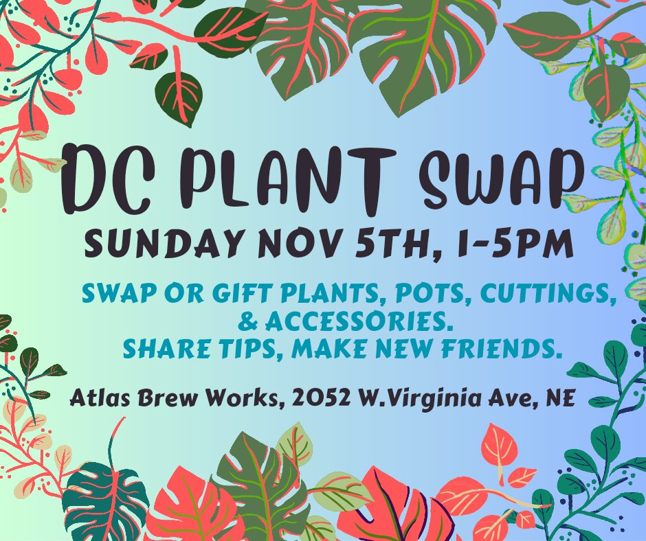 Plant Swap this Sunday; I'm pumped. The swap turns 4 years old! 4 years of friends, fronds, fun trades, sympathy &amp; advice. We'll definitely be pouring out a few to our "unalive" plants. There's a fundraiser for <a href="/HumaneRescue/">Humane Rescue</a>, too. Drink beer, get free plants, &amp; help doggos. Win.
