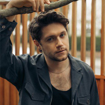 My #mancrushmonday goes to my amazing man <a href="/horan_nial30471/">Not real Niall Horan: NOT @NiallOfficial (Parody)</a>. ❤️