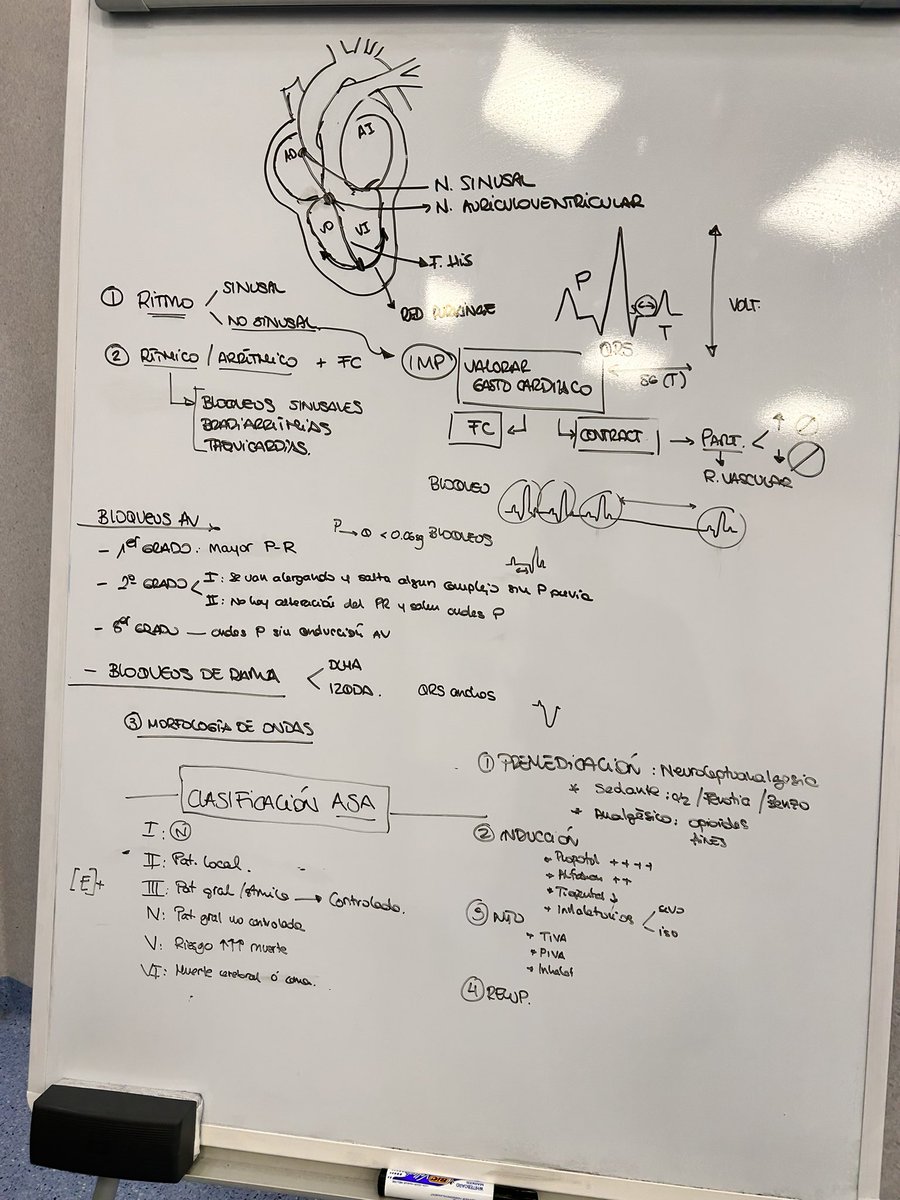 Verás tú cuando se den cuenta de que les hace falta saber lo que vieron en primero para entender lo que les contamos en 5º 🙄