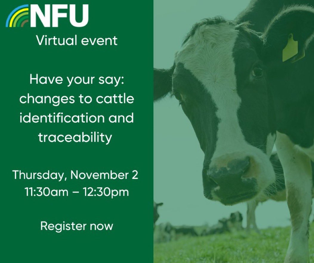 Members are invited to join the NFU's livestock and dairy experts for an interactive webinar on cattle identification and traceability this Thursday, where you can help the organisation shape its response to Defra's consultation.
To register, visit: nfuonline.com/updates-and-in…