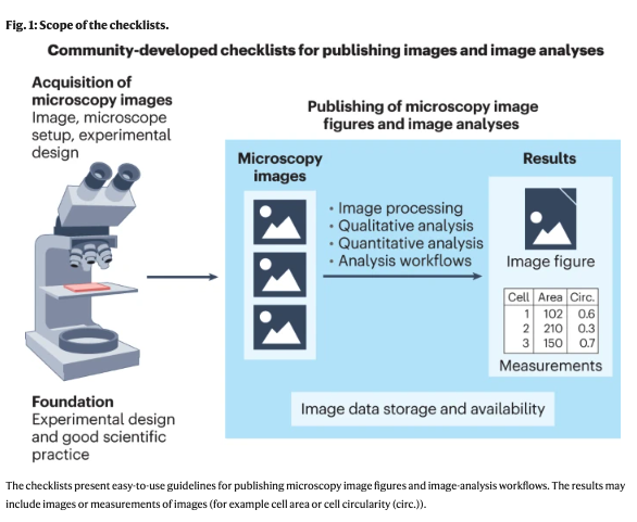 Elisabeth Bik tweet media