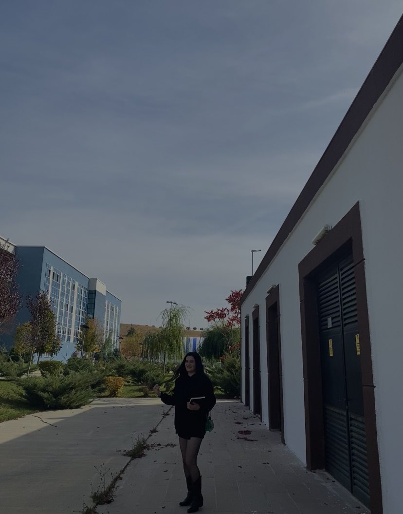 Nur Efiloglu (@havvanurefil) on Twitter photo 