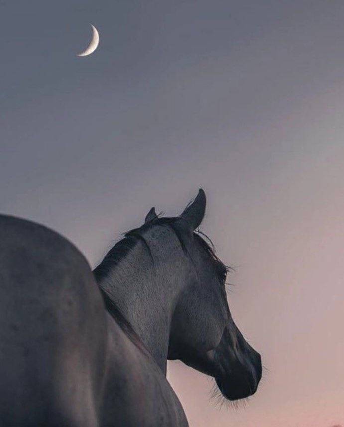 Dünya bensizde dünyaydı, darılmadım..