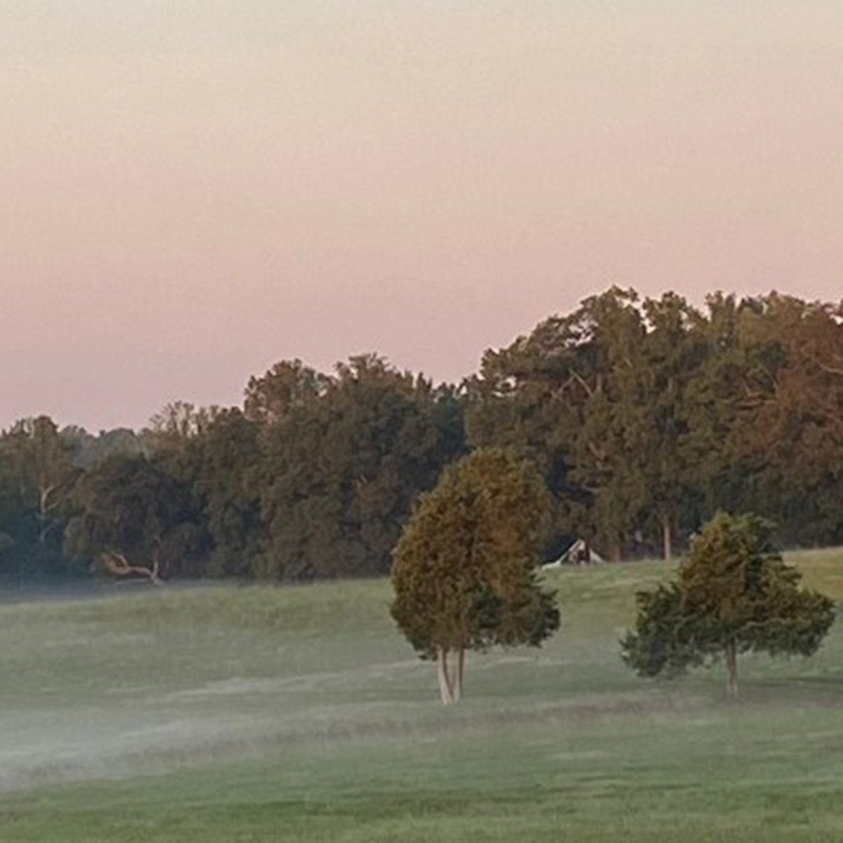 Still time to sign up for the Bill Steers 4 Miler! Join @uvaurology and the #Charlottesville Track Club in person Sun., Nov. 5, or virtually. The race supports prostate cancer research and is open to runners/walkers of all ages & fitness levels. bit.ly/3QyVXez #Cville