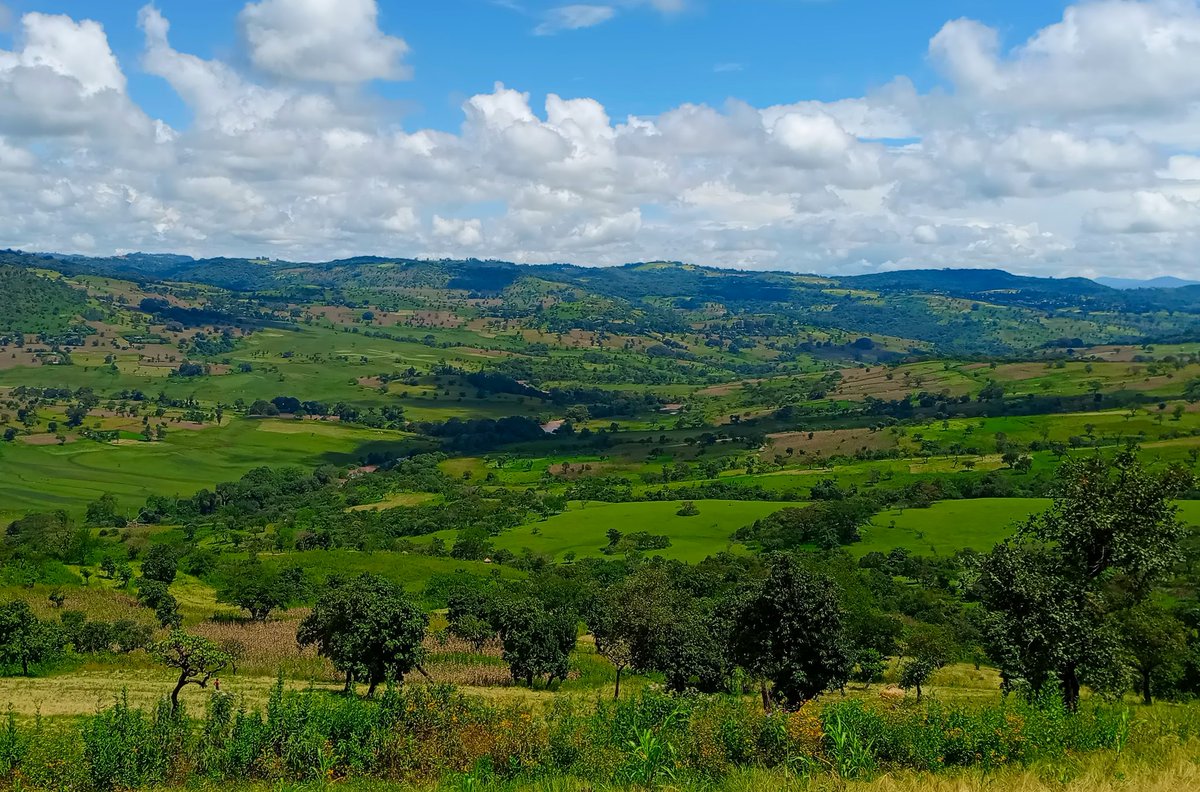 Alhafiz96468314's tweet photo. #Jimma,
#Gumay,
The view of the Didesa river flows And the surrounding hills are very beautiful and the best relaxing place. https://t.co/JiUt1dsTvt