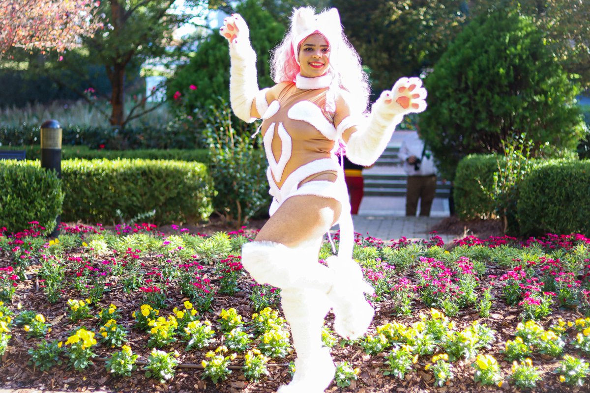 LittleWolf104's tweet photo. Meow!!~ 
#Darkstalkers #feliciadarkstalkers #blackcosplayer #cosplay https://t.co/SRZVsgKLWI