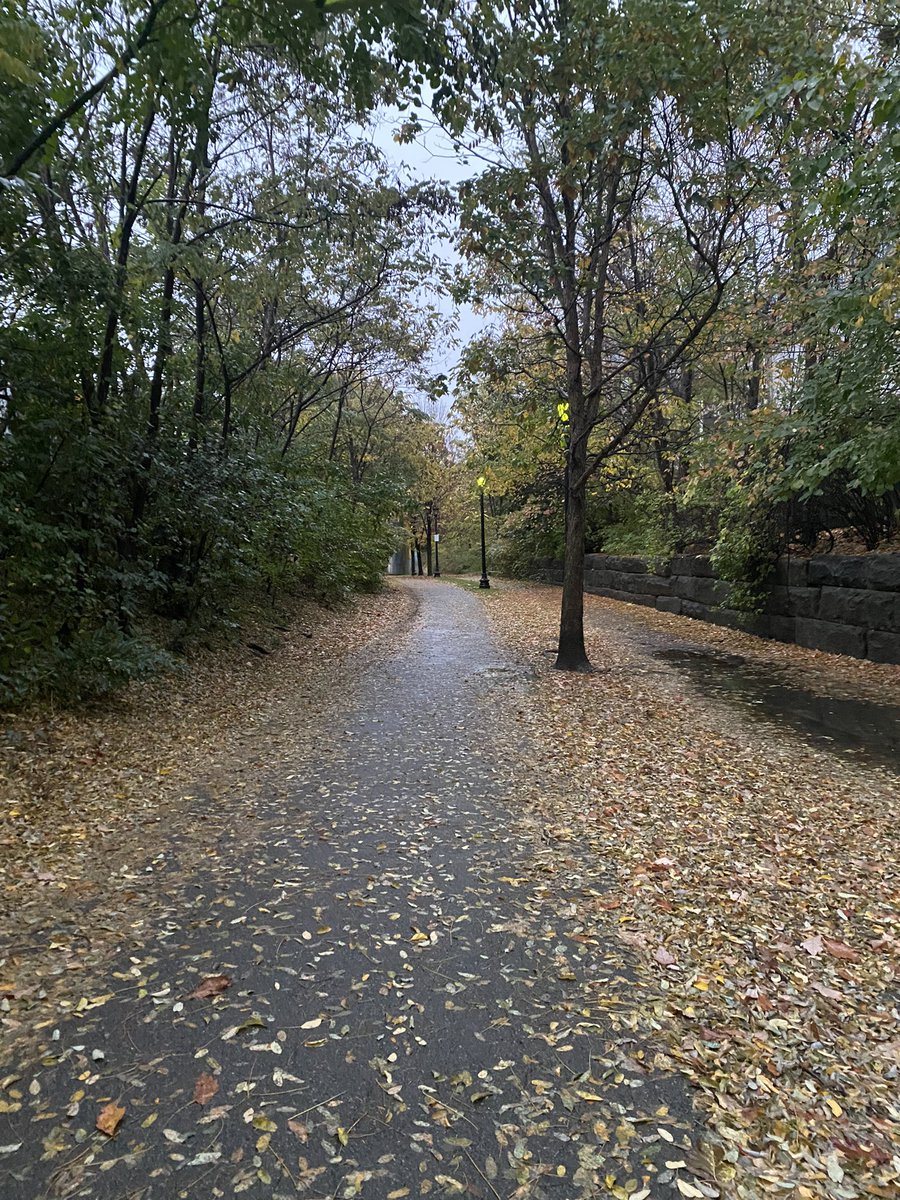 east boston greenway looking magical