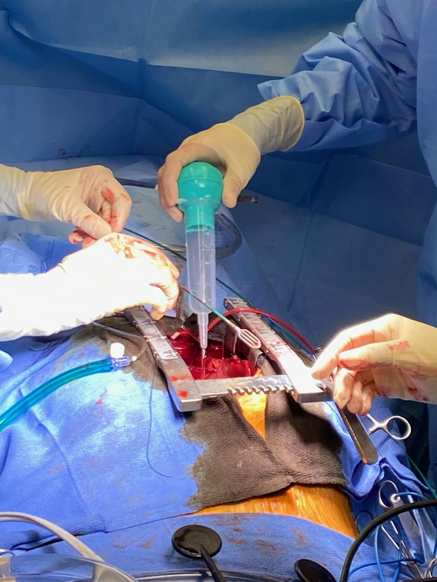 Ashkan Ehdaie MD tweet media