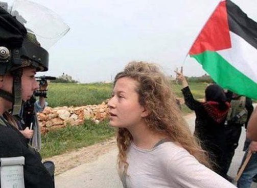 Hen Mazzig tweet media