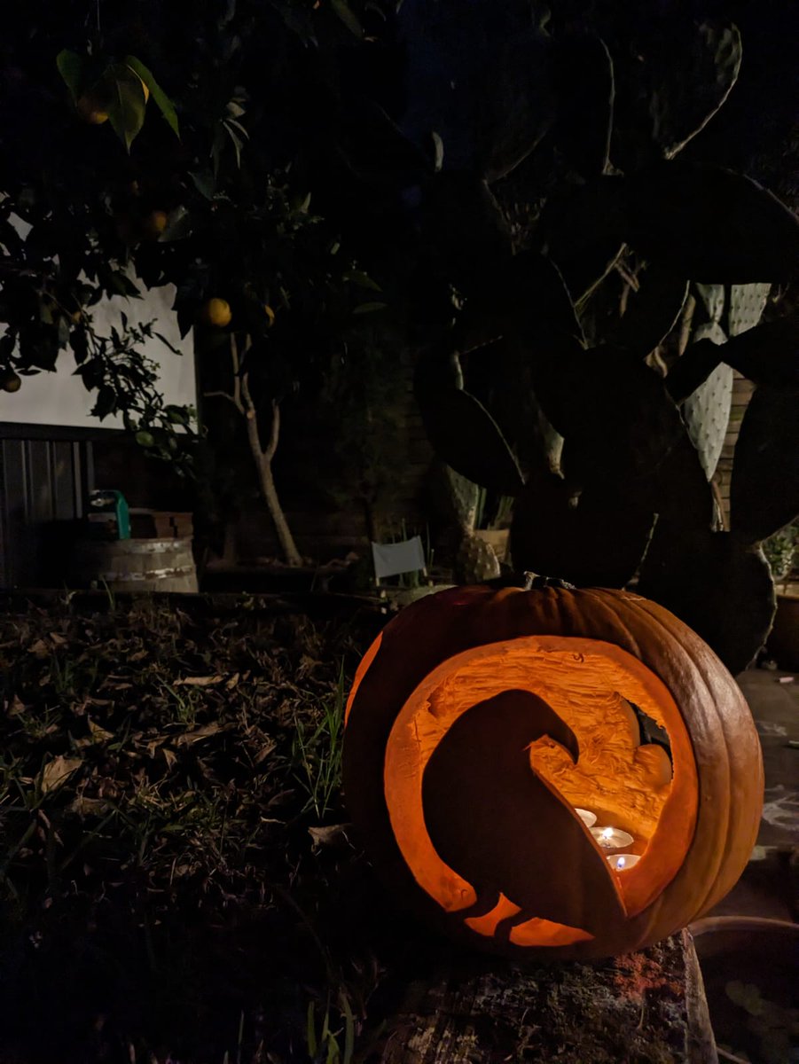 Happy Halloween! Happy Samhain! Had to carve a rook this year in honour of #TheMidnightSwitch