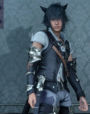 / also noctis is gay sorry i dobt make the rules he has three boyfriends HE FUCKING IS A FUCKING MI'QO WHAT MI'QO IS EVER STRAIGHT EVER