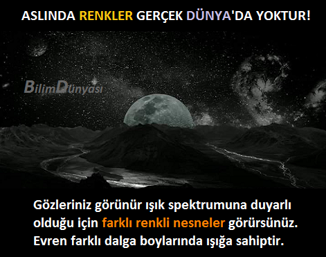 cosmokitap's tweet image. #renkler #dalgaboyu #gerçek #gerçeklik #Dünya #ışık #spektrum