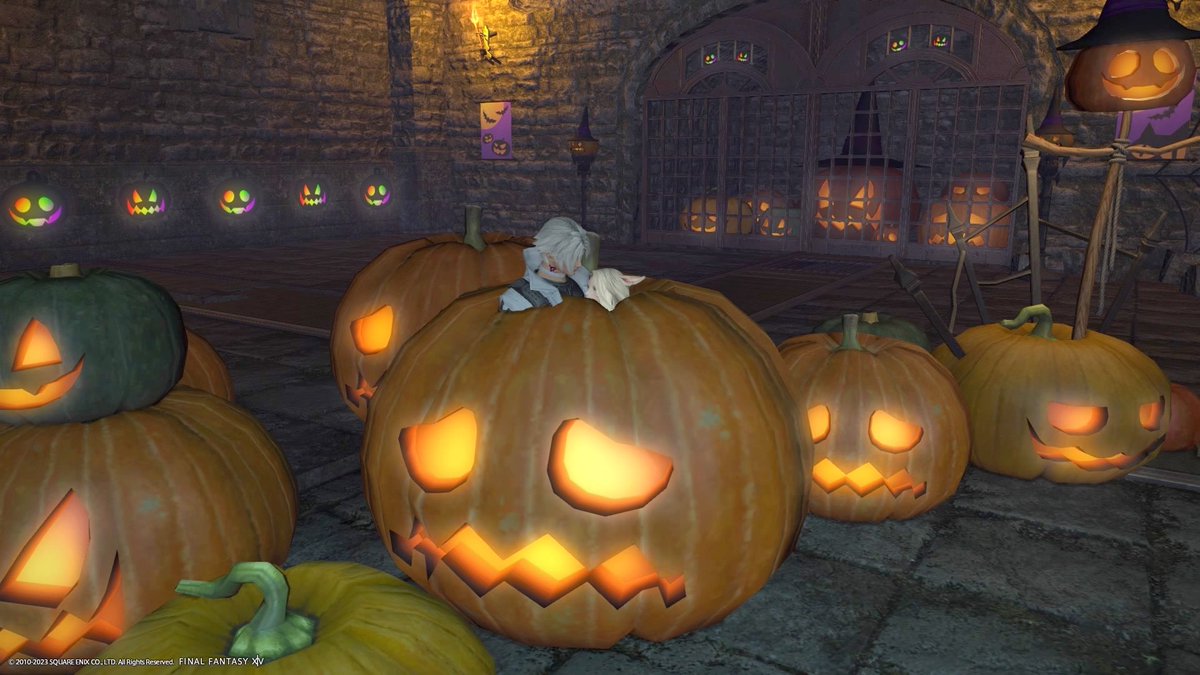 #守護天節2023  #ff14