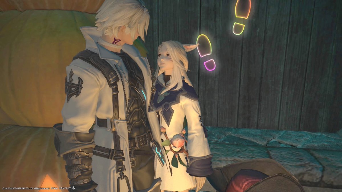 #守護天節2023  #ff14
