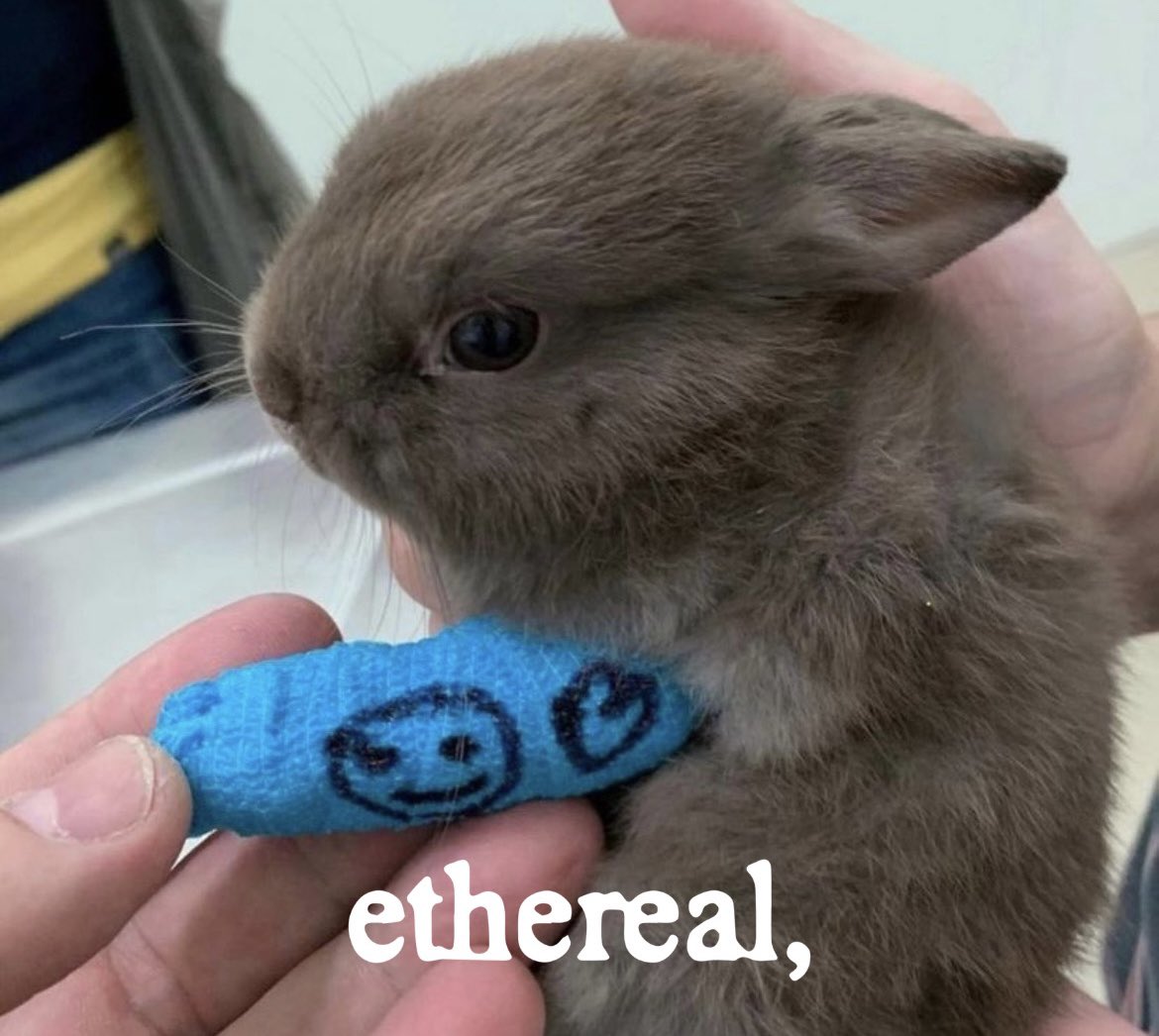 ethereal, tweet media