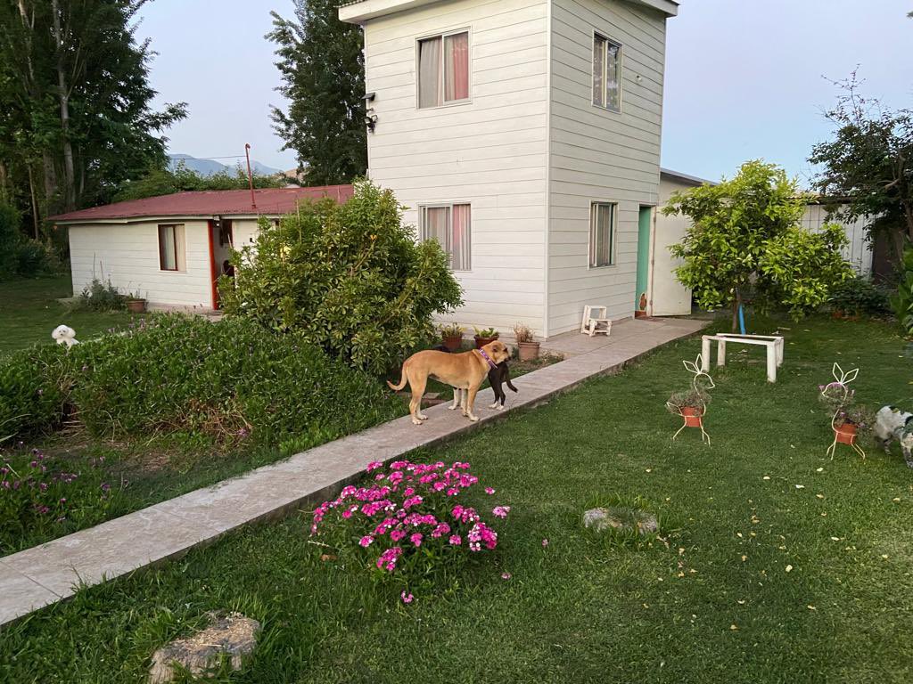 diego_osman's tweet photo. @Presidencia_cl @GobiernodeChile @GabrielBoric @PabloSilvaAmaya Estimados, a +4 meses de la inundación, estamos a la espera de definición del @serviuohiggins x ayuda en casa damnificada en Coltauco

Fotos: 1. Antes 2. El 21/06   3.30/11 
Foto 4. interior marca donde llegó agua y barro 

Por favor algún contacto que pueda acelerar definiciones https://t.co/sJTWnXlTyB