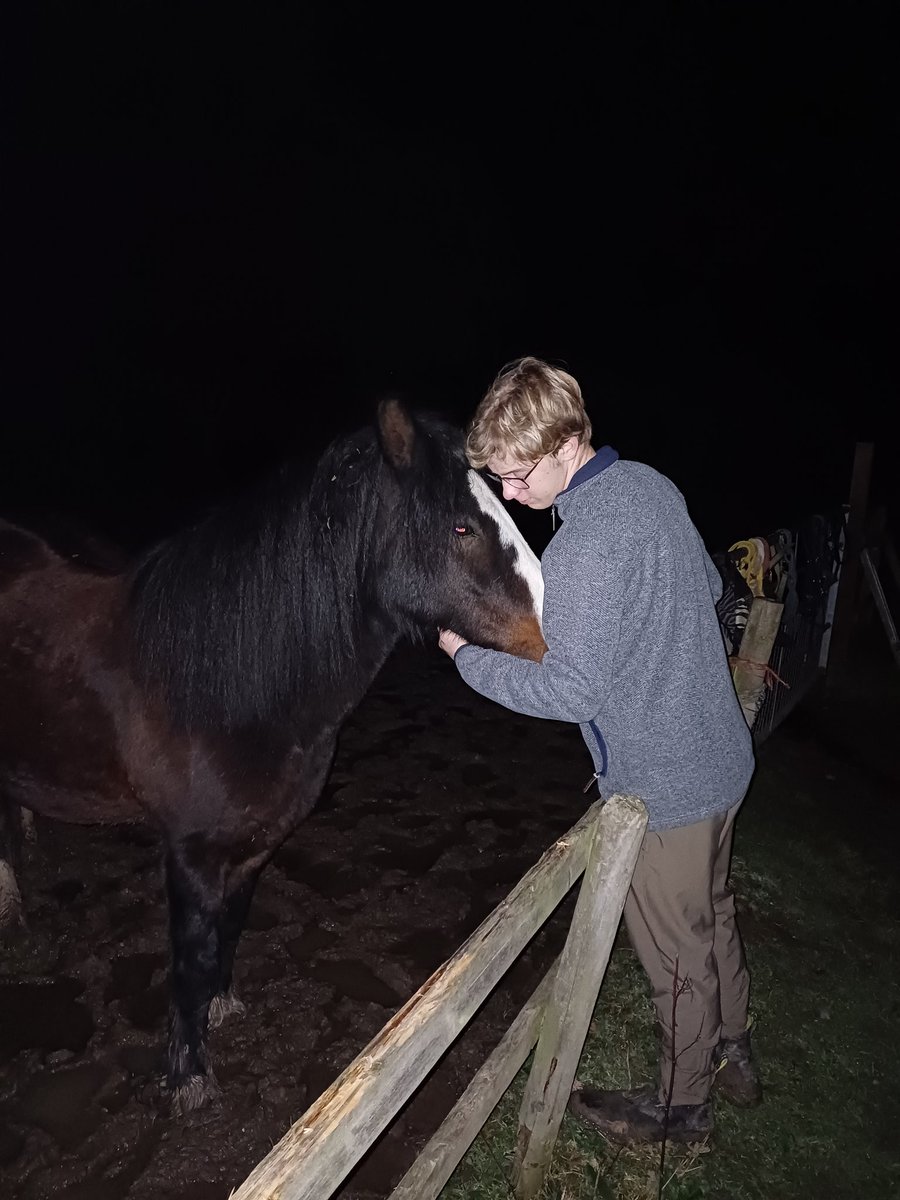 KjbPony's tweet photo. Almost time to swap the fields over. The boys enjoyed warm hugs this mild October evening 🤗  Love them 💖  #ponyhour #muddyfield #IrishCob #bestoffriends #myboys https://t.co/69HnsX1xkw