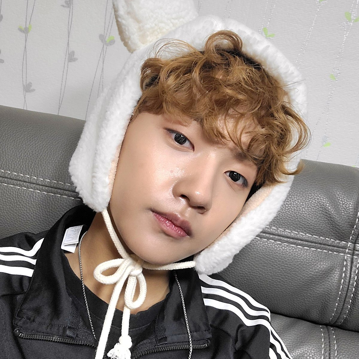 📸 #PIC • 231030 | Matando nossa saudade, mais uma foto do Seyun usada de foto de perfil pela conta @/junghee1006!! (Ainda não superei esse cabelo que durou 2 dias)

#WOOLLIM 
#JUNGSEYUN #정세윤
