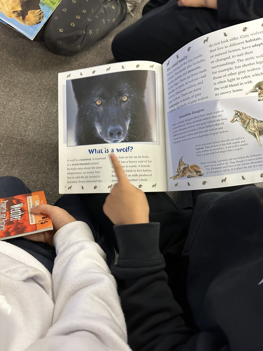 MsDavidsonk's tweet photo. Exploring nonfiction text features! #heathcotepride https://t.co/O5lR8sxZFj