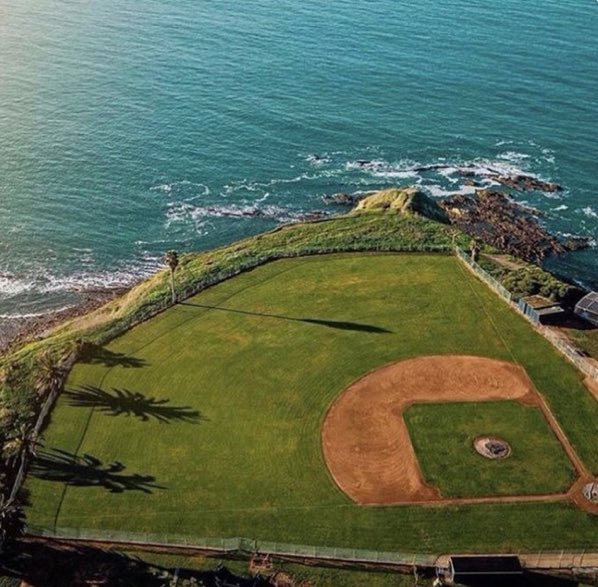 Calico Joe tweet media