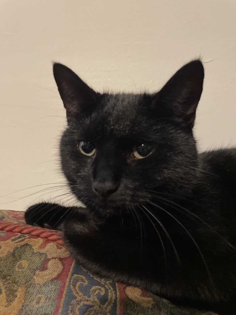 Dan Waterfield tweet media