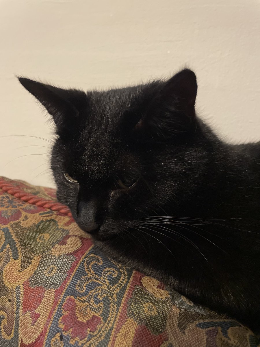 Dan Waterfield tweet media