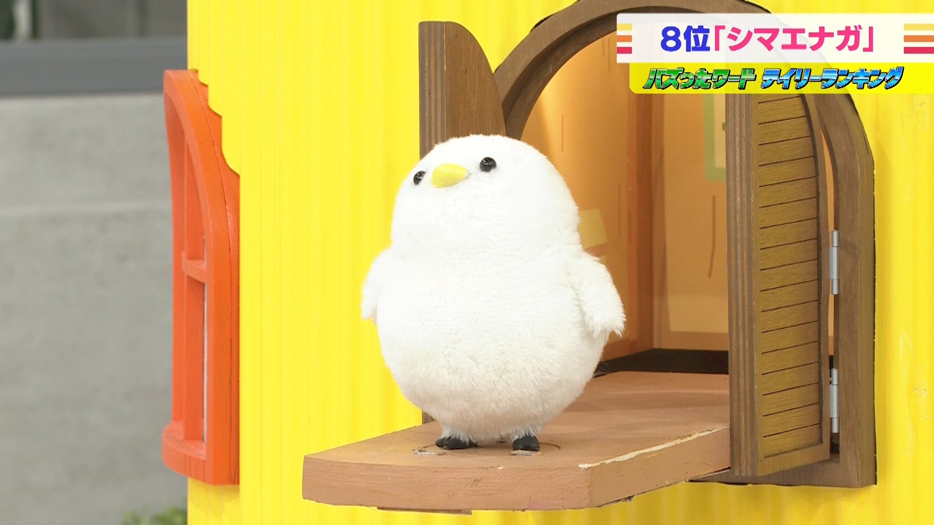 TBS『THE TIME, 』 on X: 