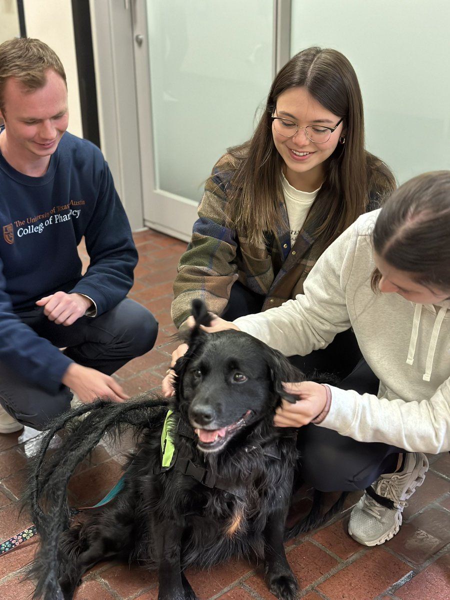 Our <a href="/UTexasPharmacy/">UT Pharmacy</a> community loved getting a visit from <a href="/divinecanines/">divine canines</a>  today to mark the start of Well-Being Week. These pups provided all the warm and fuzzies we needed on a cold day.