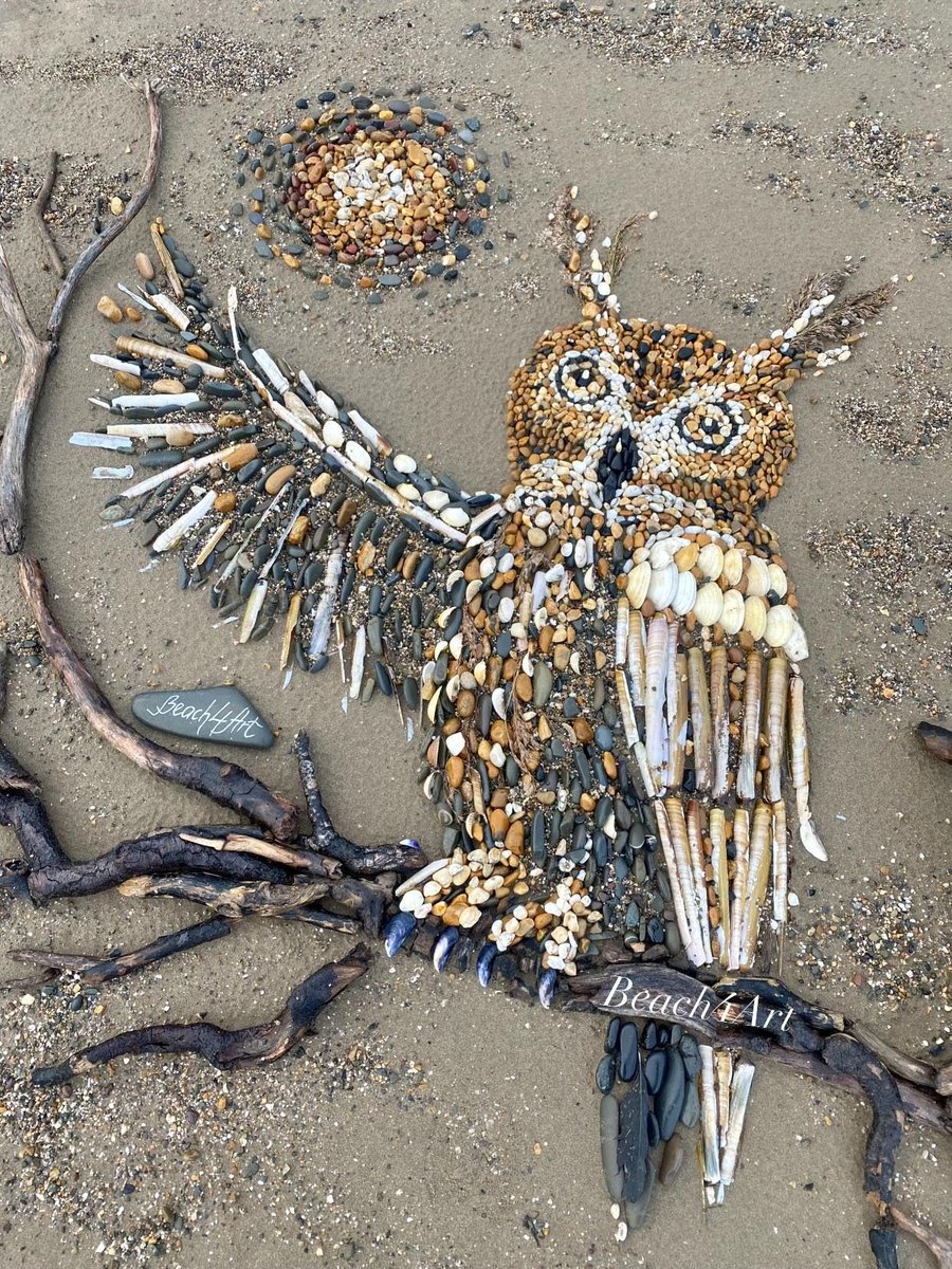 Eurasian Eagle Owl -Bubo bubo
Made at Sandymere beach on 30/10/23 another fantastic creation from Beach4Art