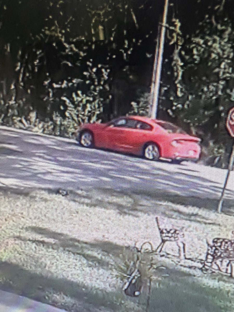 The Jacksonville Sheriff’s Office is currently working a reported suspicious incident near the intersection of West 5thStreet and Palm Avenue. Witnesses observed a red vehicle stopped at this intersection with both doors open and a white female with short blonde hair, blue…