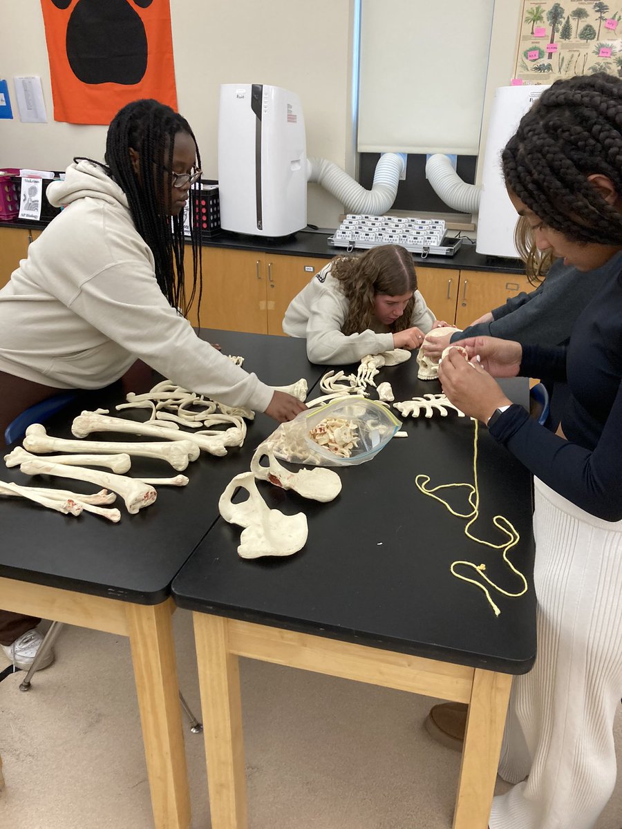 Mrs. Makrinos tweet media