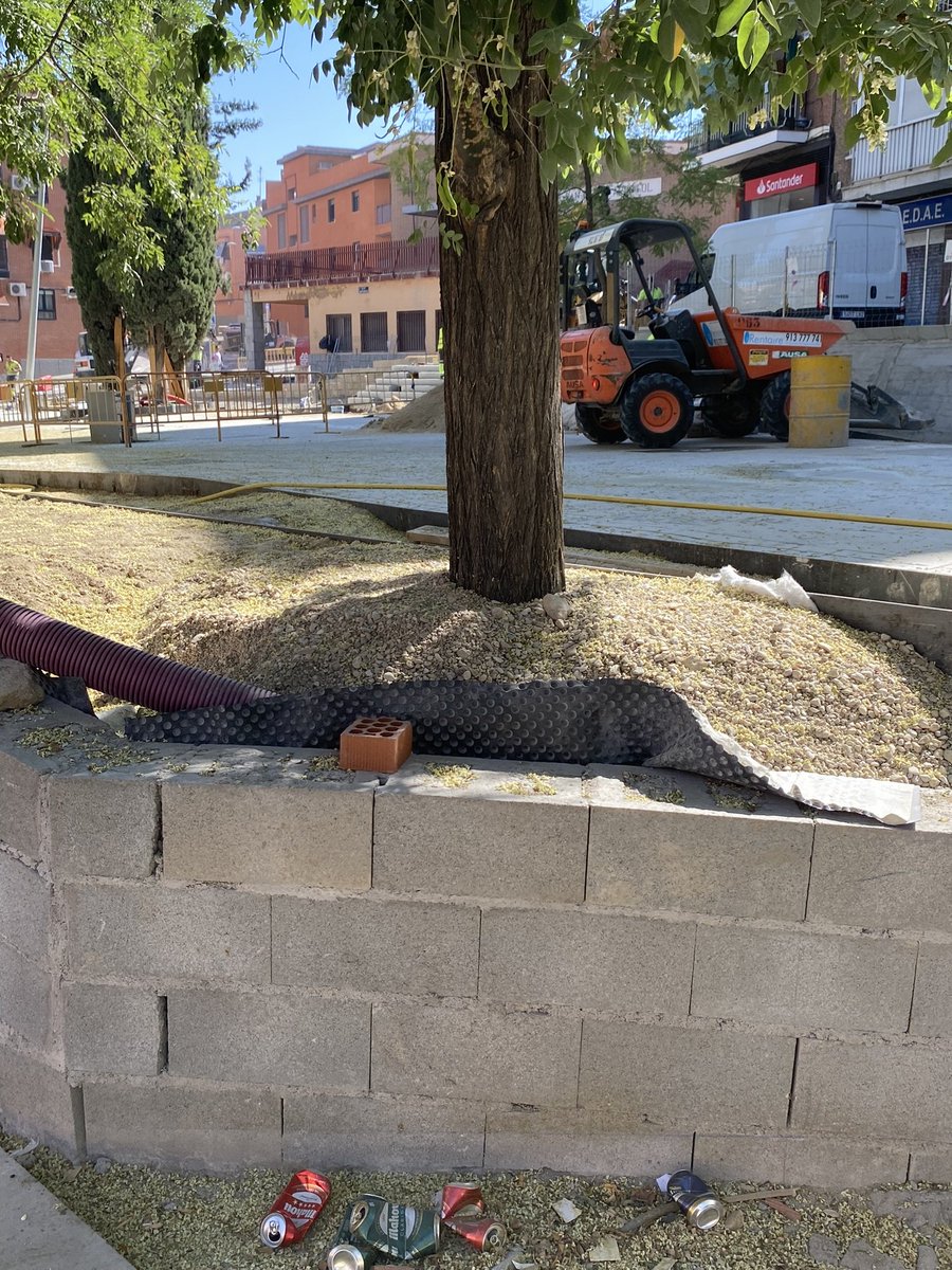 CAVOvalecillo's tweet photo. 2.-APORCAR
El aporcamiento se refiere a cubrir el tronco del árbol con un montón de tierra. 
Provoca inestabilidad del árbol y asfixia al no poder respirar correctamente, echando a perder las raíces, entre otras afecciones.

NO LO HAGAN NUNCA https://t.co/bjFWMvCIwt