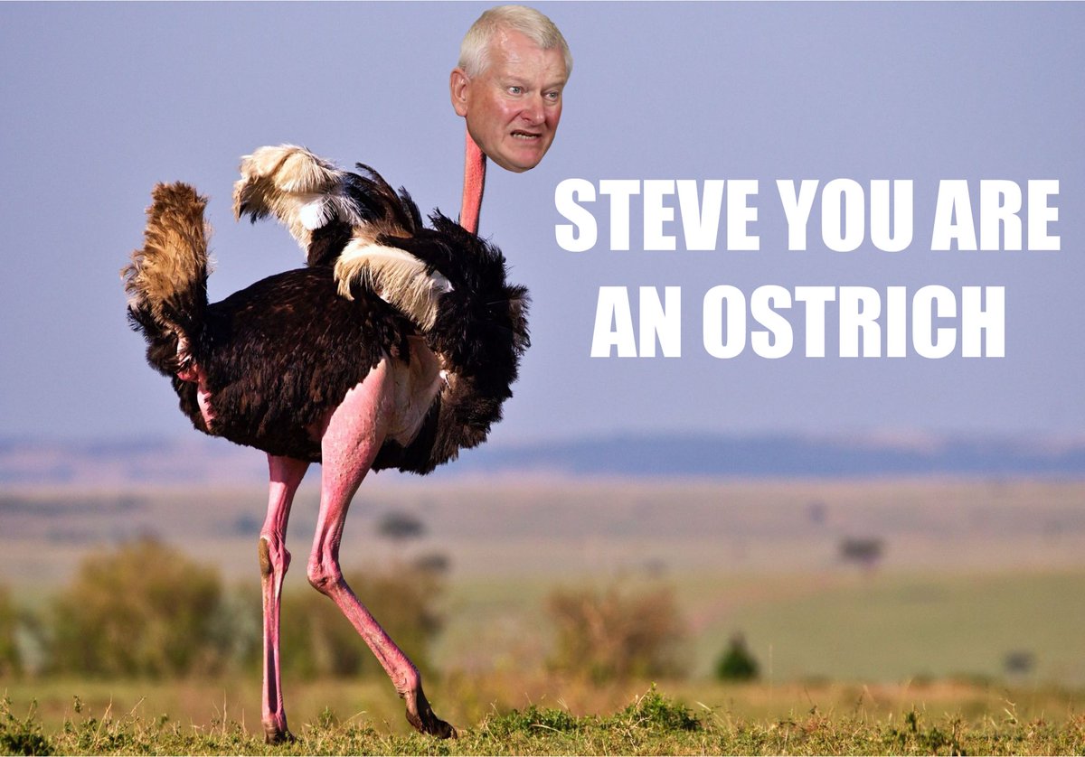 Steve, you are an ostrich. #LansdownOut <a href="/stephenlansdow1/">steve lansdown</a>